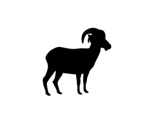 Silhouette of a goat on a white background. Animal clipart vector design illustration.