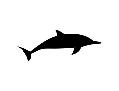 Silhouette of a dolphin on a white background. Underwater sea animal clipart vector design illustration.