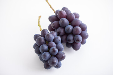 秋の味覚　ふどう　高級ぶどう　フルーツ　季節の果物