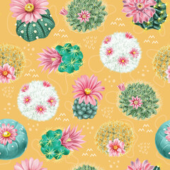 Flower of Cactus ,cactus, Cactus on a background, Cactus pattern ,flower , garden cactuses, cacti flower and tropical home plants