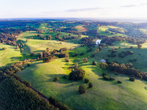 The Green Rolling Hills Of Ferguson Valley In Late Afternoon