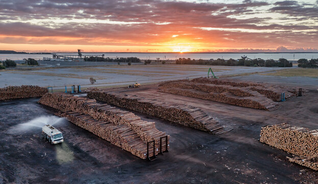 Horizontal shot of timber piles at sunset