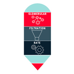 GFR - Glomerular Filtration Rate acronym. medical concept background.  vector illustration concept with keywords and icons. lettering illustration with icons for web banner, flyer, landing 