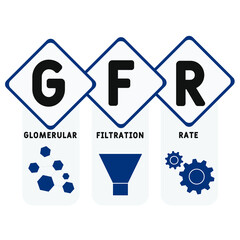 GFR - Glomerular Filtration Rate acronym. medical concept background.  vector illustration concept with keywords and icons. lettering illustration with icons for web banner, flyer, landing 