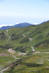 Fototapeta premium 緑に覆われた森林限界の山