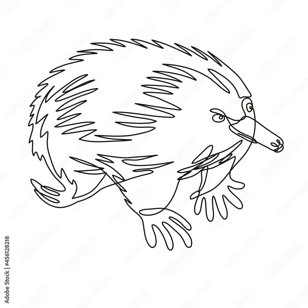 Poster continuous line drawing illustration of an echidna or spiny anteater side view done in mono line or 