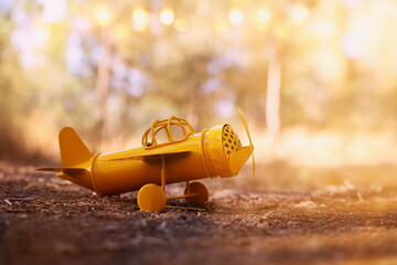 Magical image of vintage airplane in the forest at sunset