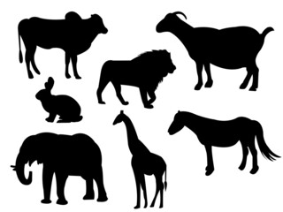 assorted animal silhouette illustration