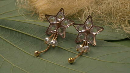 Closeup of pair of earrings on green leaves background