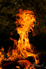 An orange flame from an open-air campfire 