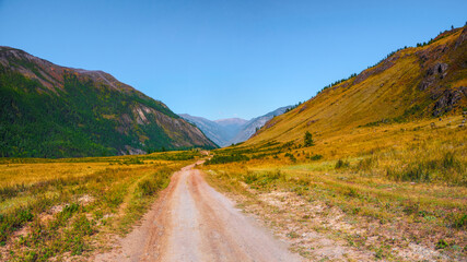 Fototapeta premium Path through mountains. Trekking mountain trail. Bright panoramic alpine landscape with dirt road among grasses in highlands. Pathway uphill. Way up mountainside.