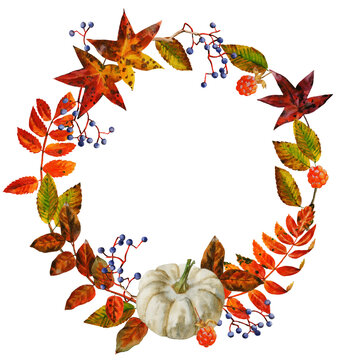 Fall botanical decorative watercolor wreath from pumpkin, leaves and berries. Hand painted rowan, foliage and berries autumn arrangement. Design for wedding and holiday, cards, invitations