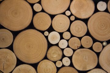 Background image of saw cuts. The use of wood in the interior of ecological design