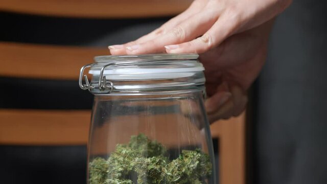 Close up shot of hands open weed jar choosing the quality marijuana, thc cbd cannabinoid for alternative medical use, pot grower, curing weed for good smell and taste, dried and humidity control