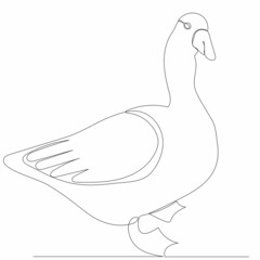 goose, duck drawing by one continuous line, sketch