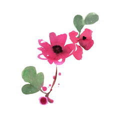 Flower Painting Illustration. Hand painted design elements