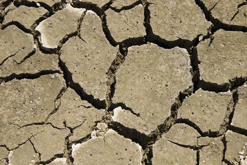 Cracked dry land during a drought. A long time without rain. Infertile soil without plants