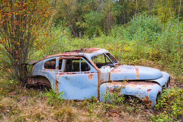 Car wreck in the forest at autumn