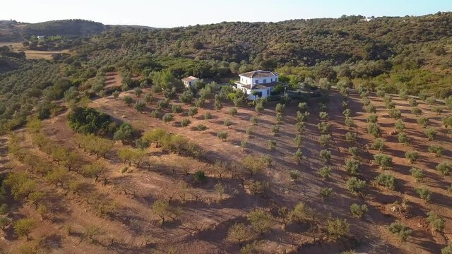 Spanish Cortijo On The Hilltop With Growing Tree Crops In Malaga, Spain. aerial