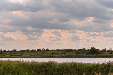 A beautiful evening river with reeds along the horizon.