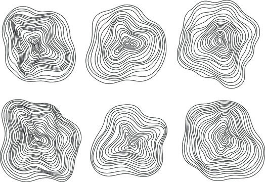 Abstract tree rings. Vector topographic map concept background. Thin black lines on white.