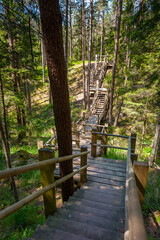 Narrow wooden path  winding through forest. Picture of stairs on a hill leading to the top. Peterezers nature trail. Latvia.