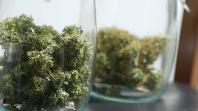 close up the transparent cannabis jar showcases inside a legalized recreational marijuana shop, a new cash crop business, alternative medical treatment, details of plant crystal trichomes