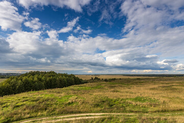 Fototapeta premium Summer field and clouds on the blue sky. A landscape with a bright green field and dramatic clouds against a blue sky.