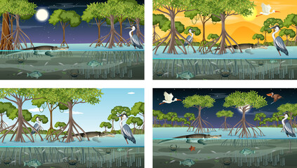 Different mangrove forest landscape scenes with animals