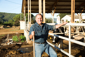 Portrait of successful mature male farmer in cowshed