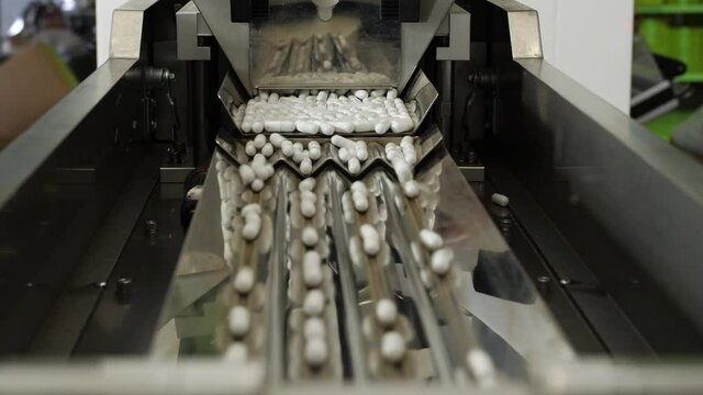 Pharmaceutical production. Medical capsules are moving in a packaging machine.