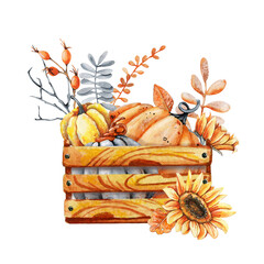 Autumn harvest in a wooden box, pumpkins and sunflowers. Thanksgiving and Halloween design template. Hello autumn illustration. Hand drawn watercolor illustration isolated on white background