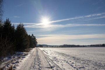 Obraz premium Winterwald