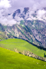 Landscape with mountains, meadows and clouds. Horizontal view of serene meadows, alpine trees on the way from Kashmir Great Lakes Trek, Jammu and Kashmir, India.