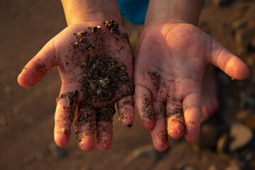 children's palms with sand