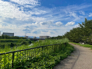 枚方市 天の川（天野川）河川敷・堤防・河原・遊歩道 Hirakata-shi OSAKA Japan