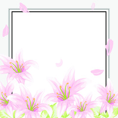Beautiful pink lilies flower background template
