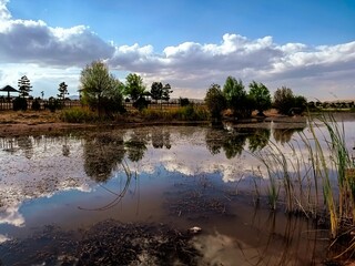 Obraz premium reflection of trees in the lake