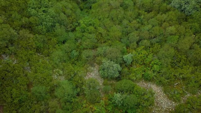 aerial view of the old Roman gold mine "a toca" on the green mountains of Caurel