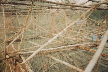 Fishnets in Thailand