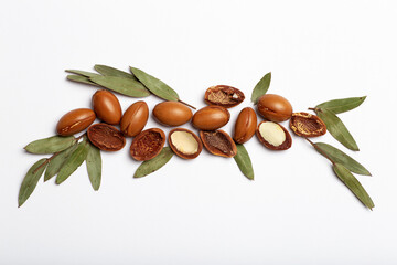 Argan seeds isolated on a white background. Argan oil nuts with plant. Cosmetics and natural oils...