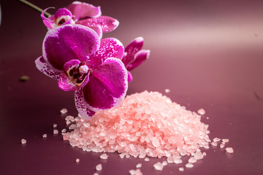 รูปภาพVinous – เลือกดูภาพถ่ายสต็อก เวกเตอร์ และวิดีโอ23,424 | Adobe Stock