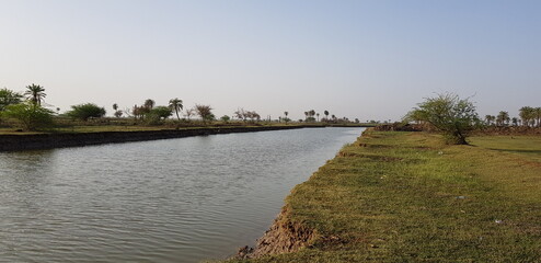 Fototapeta na wymiar the river in the country