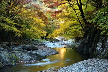 Oashi valley, Kanuma, Tochigi, in autumn