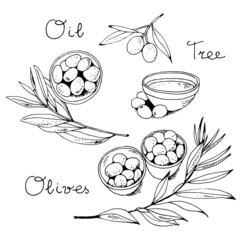Olives in a bowl and olive branch isolated on a white background with text