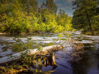 Flight over the small river in the center of Poland. 