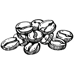 Coffee tree and beans in graphic style hand draw on white background. Isolated object with engraved style illustration. The best for design logo, menu, label, icon, stamp.