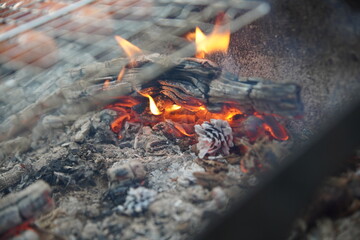 delicious fried sausages on the fire