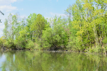 Fototapeta na wymiar Wiosenny widok na wodę i drzewa 