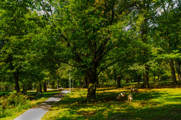 OKATSE, GEORGIA: A beautiful scenic road that leads to Okatse Canyon on a sunny summer day.